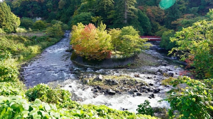 中野もみじ山