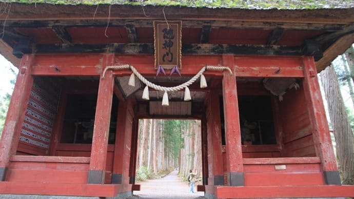 戸隠神社・奥社の杉並木。。。