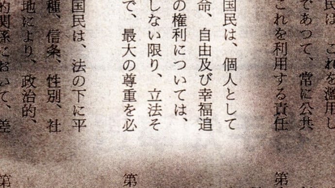 自民党の人権思想 改憲草案に見る② 多様な「個人」を否定
