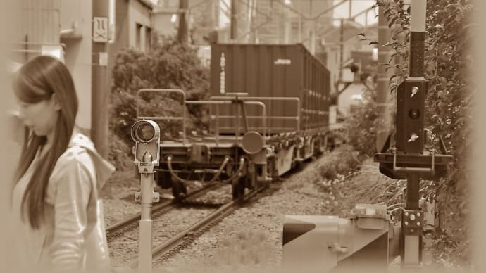 貨物列車が通過後の一風景　【二ヶ領踏切：尻手短絡線】　2019.6.25　