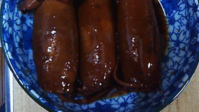 宇宙人は美味しかった