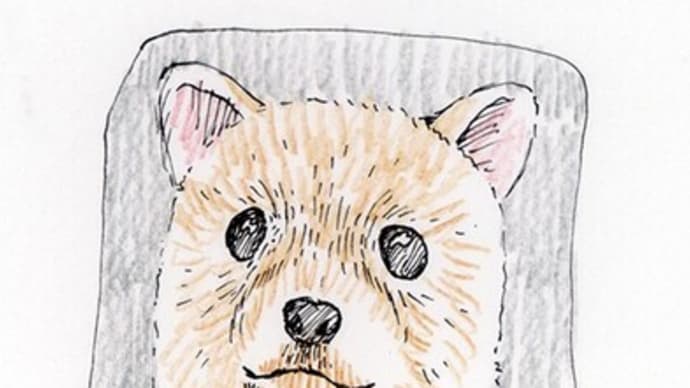 2013年11月10日習作模写等アナログ犬イラスト。さいはてりと。