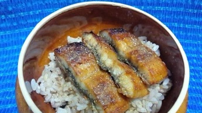 三重県産鰻蒲焼き、昼食は真ん中部分で鰻丼にしたんだね:D