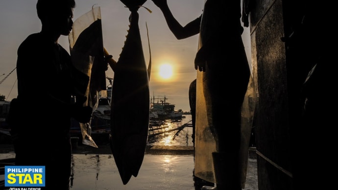 フィリピンのマグロ漁港