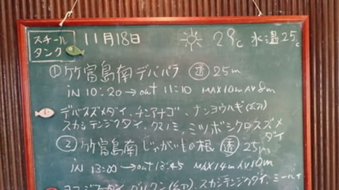 本日のダイビングログ