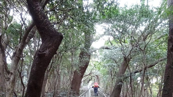 低山巡り　砥神山・御堂山・五井山・宮路山　　＠愛知県蒲郡市