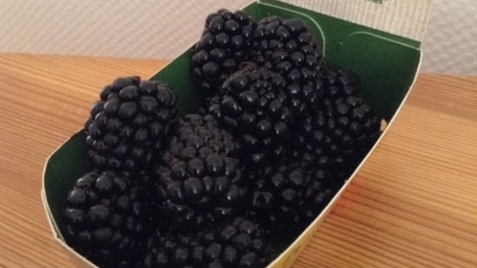 ブラックベリー♪
