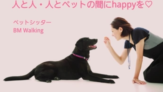 YouTubeにチョロッと…