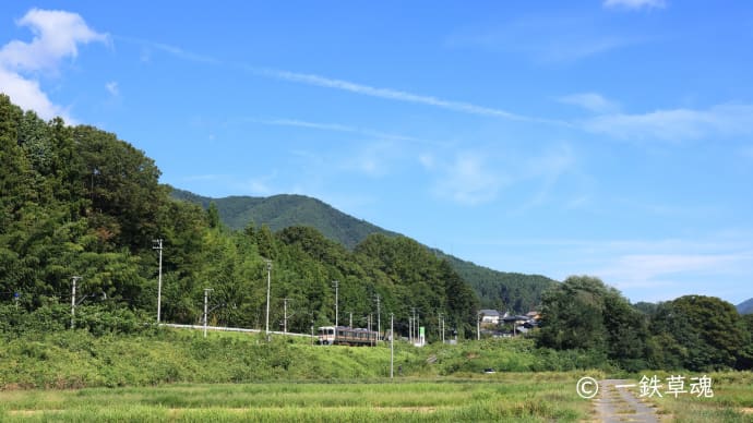 線路際絡みつくぞと藪枯らし