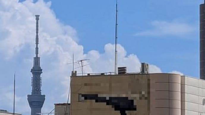 8月のいろいろなこと