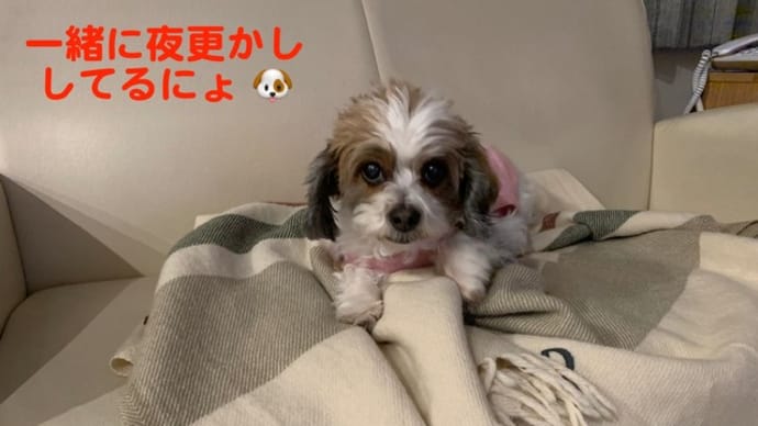 ミッション実行中！