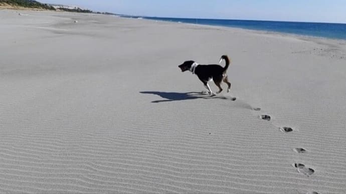 海~~🌊