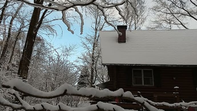 雪景色　始めました！