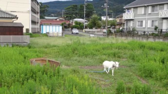 もぐもぐ隊