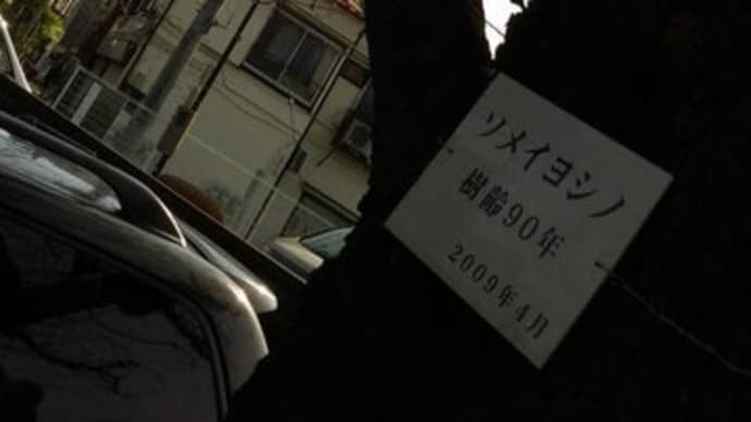 桃田賢斗が事故後初ツイート応援の言葉に感謝「治療への活力になります」・・・ そして今日。。