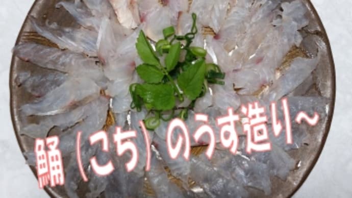 コチの薄造り、男の料理・・🐟魚の旬がズレると市場は混乱?