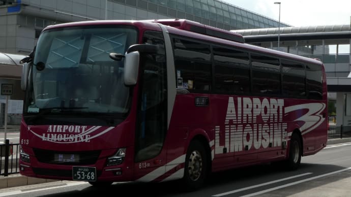 阪神バス 613