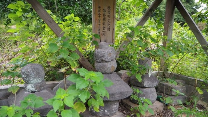 加藤島之介の墓