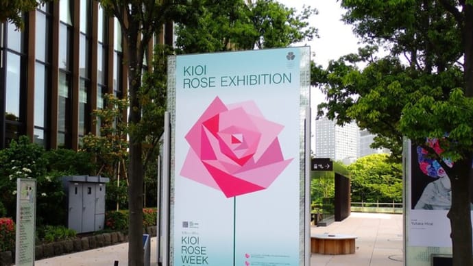 KIOI ROSE WEEK 2025