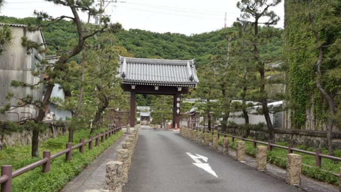 梅林公園から岐阜善光寺へ