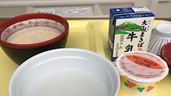 アデュウ私の子宮④~羽衣編~