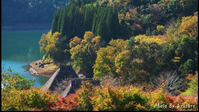 里山の秋景
