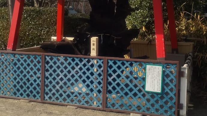 7000の内わけ≪堺市居合道無双直伝英信流≫