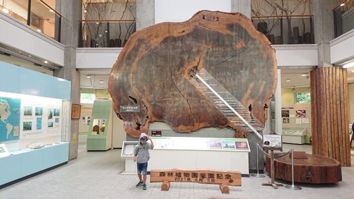 神戸市立森林植物園