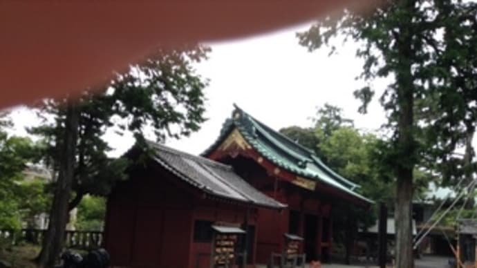 神社巡り（静岡浅間神社）
