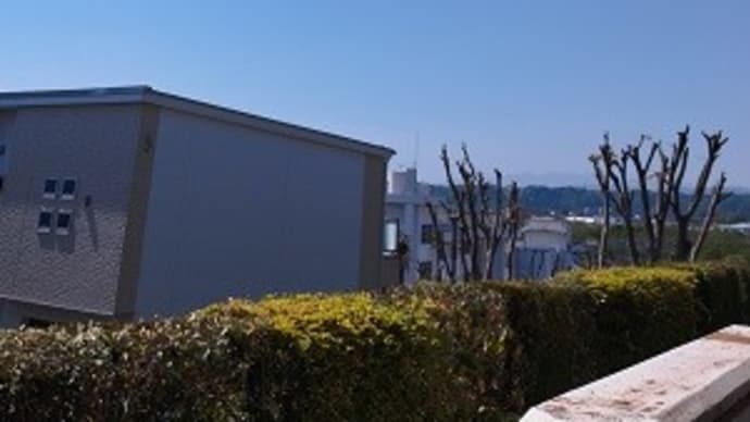 ワクワク、ドキドキ