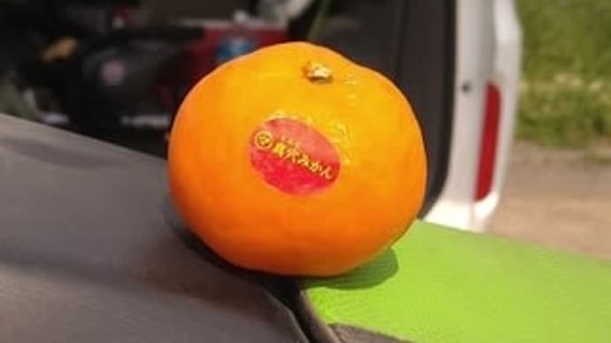オフ練(オフビ)