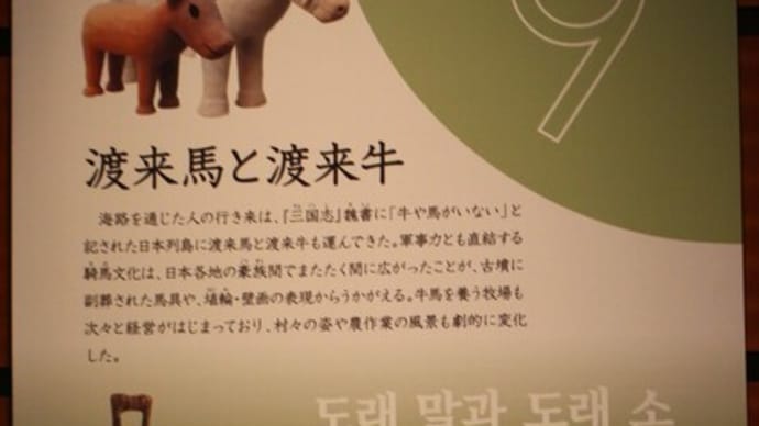 伽耶展(20)
