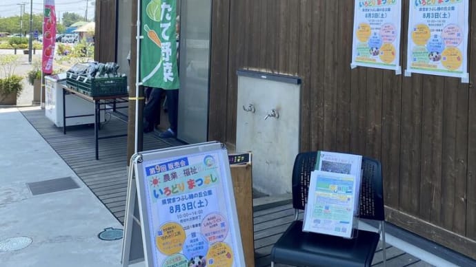 いろどりまつぶし