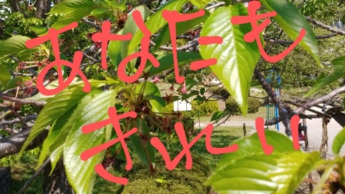 26.04.2020 シフト希望のモヤモヤ