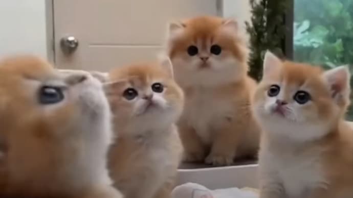 もうすぐ