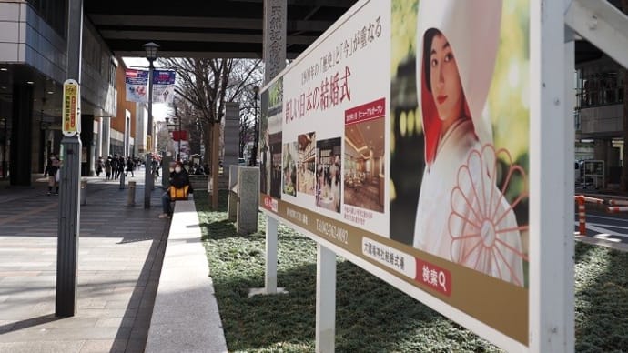 京王線沿線散歩・府中駅(2):けやき並木通り1、3月の温度統計
