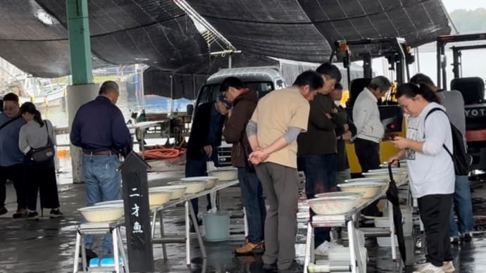 宇田川らんちゅう愛好会の2歳会