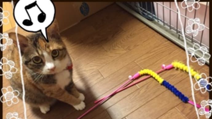 はなちゃんのお気に入り