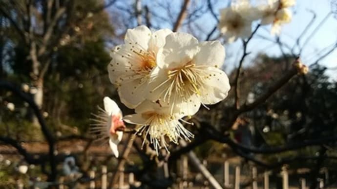 曇りのち晴れ