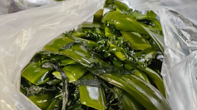 茎さき