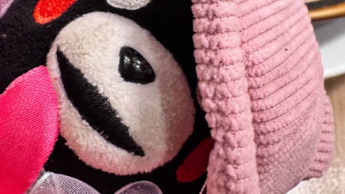 ❤️モンちゃんの新しい帽子❤️