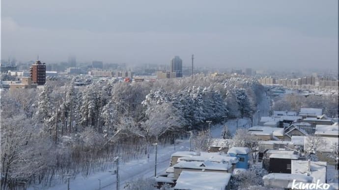 雪がたくさん降りました。
