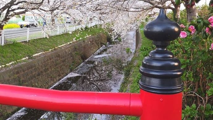 春のうららの