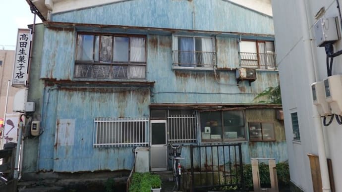 散歩写真 991