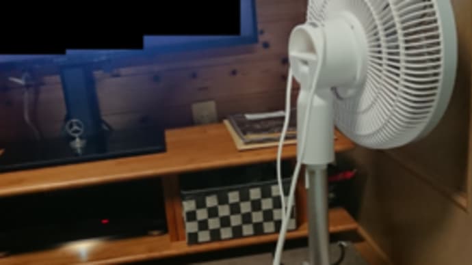 扇風機にめりこむタイプの猫