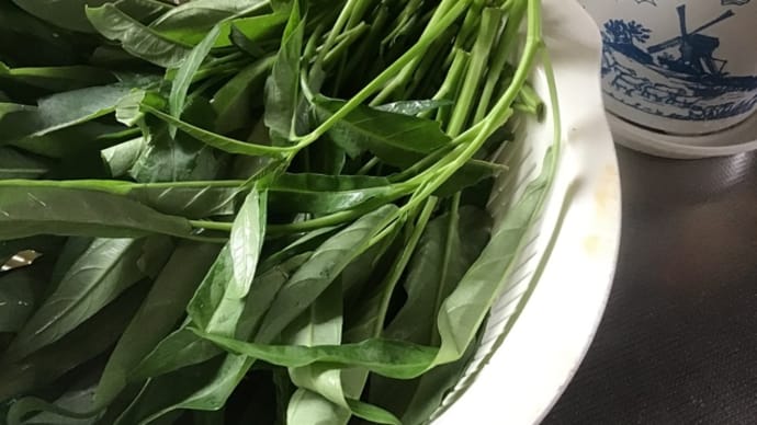 空芯菜の炒め物