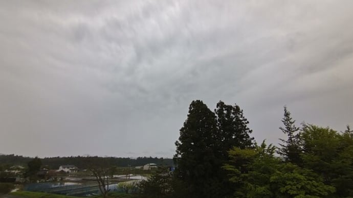 山ツツジの空