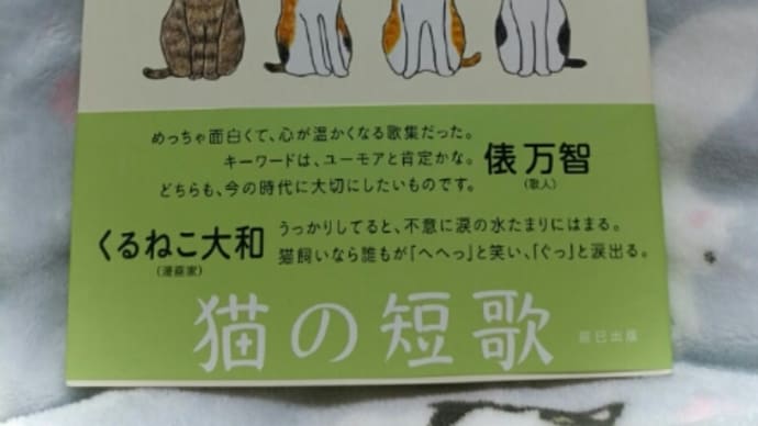 本屋さんでしくしく泣く