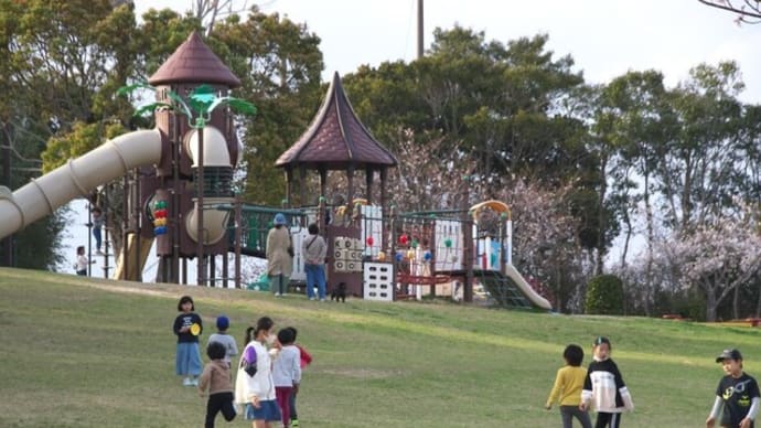 子供達が遊ぶ公園