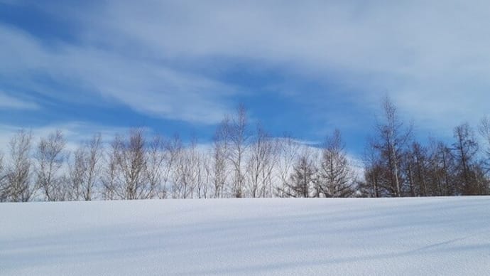 冬の北海道、富良野の旅。2泊3日の旅。静かな富良野を満喫できた。